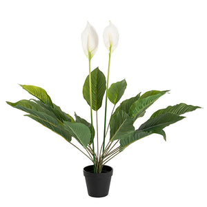 Artificial Spathiphyllum Potted Plant